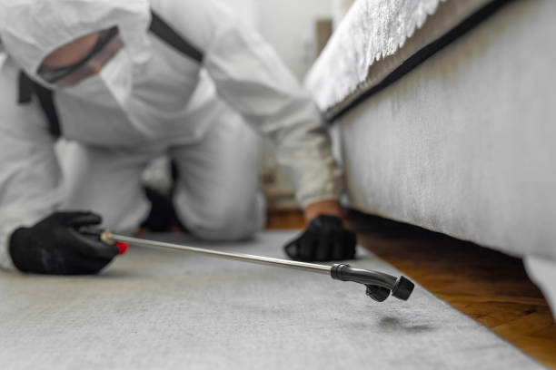 Professional Termite Control technician working in Palmetto Estates, FL