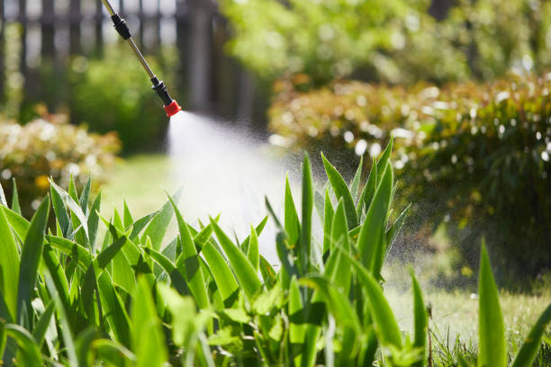 24/7 Emergency Termite Control experts in Palmetto Estates, FL