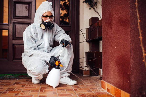 Reliable Termite Control contractor in Palmetto Estates, FL by Nex Pest Control
