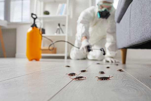 Trusted Cockroach Control service in Palmetto Estates, FL - Nex Pest Control